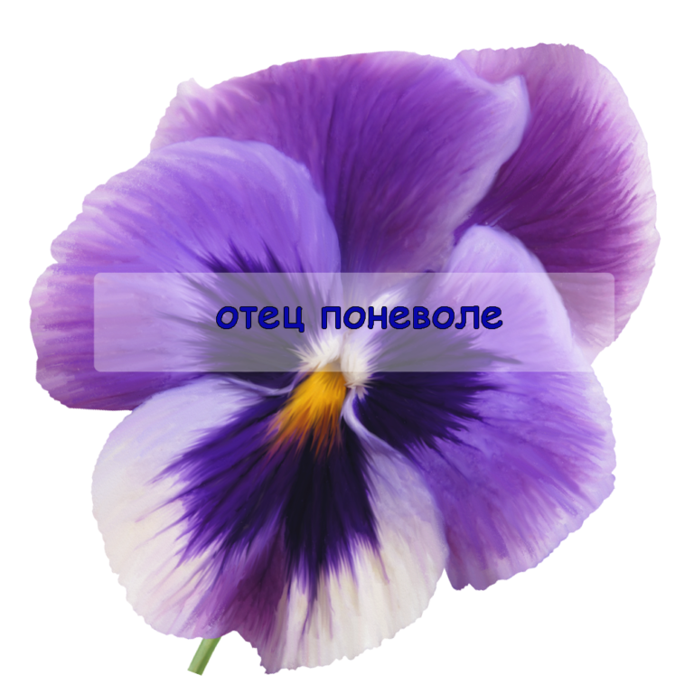 Цветок крупным планом — символ непростого отцовства