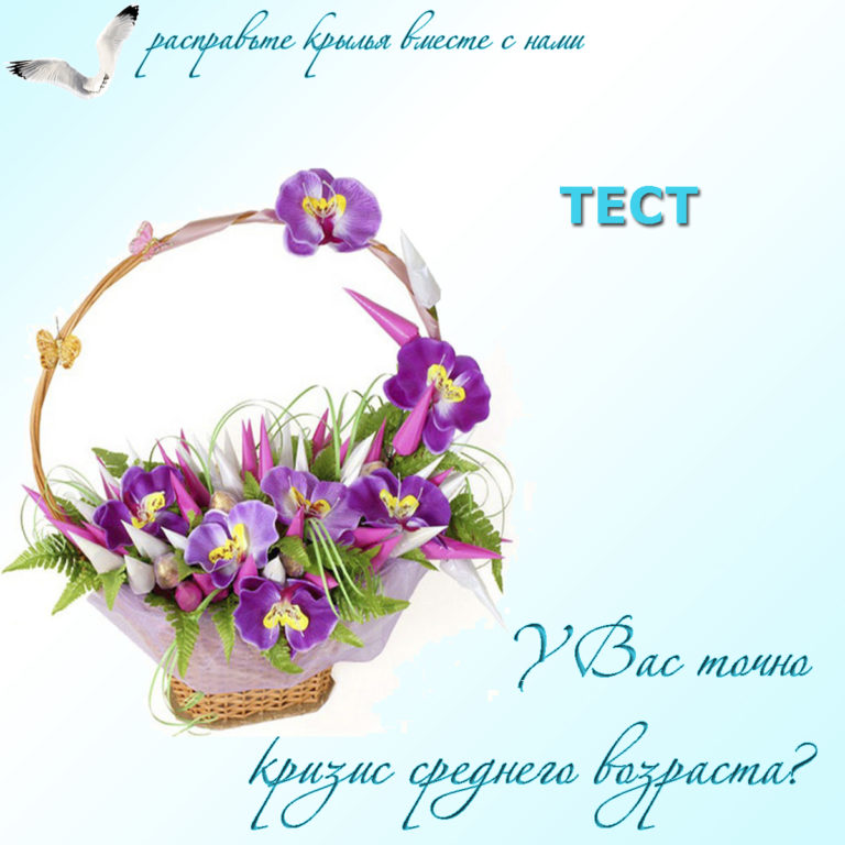 Изображение записи Тест на кризис среднего возраста Барбары Шер