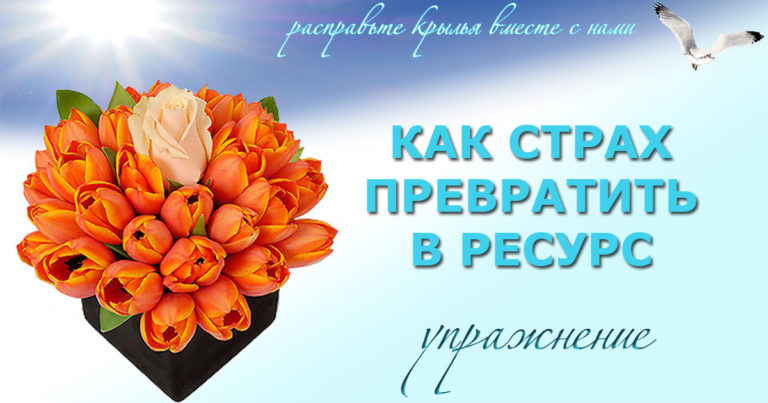 Букет в черной коробке — метафора превращения страха в ресурс
